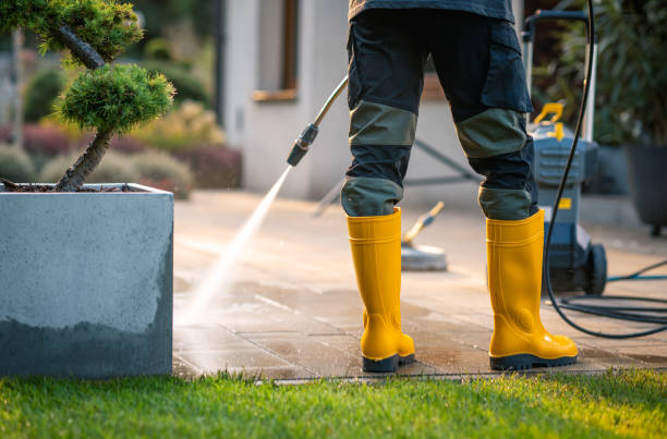 Best House Pressure Washing  in Watkins Glen, NY